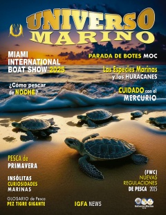 UM - AÑO #16 - No86